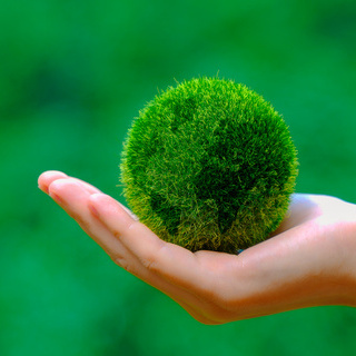 EAIE-LMS_CourseBanner_Social-responsibility2.jpg