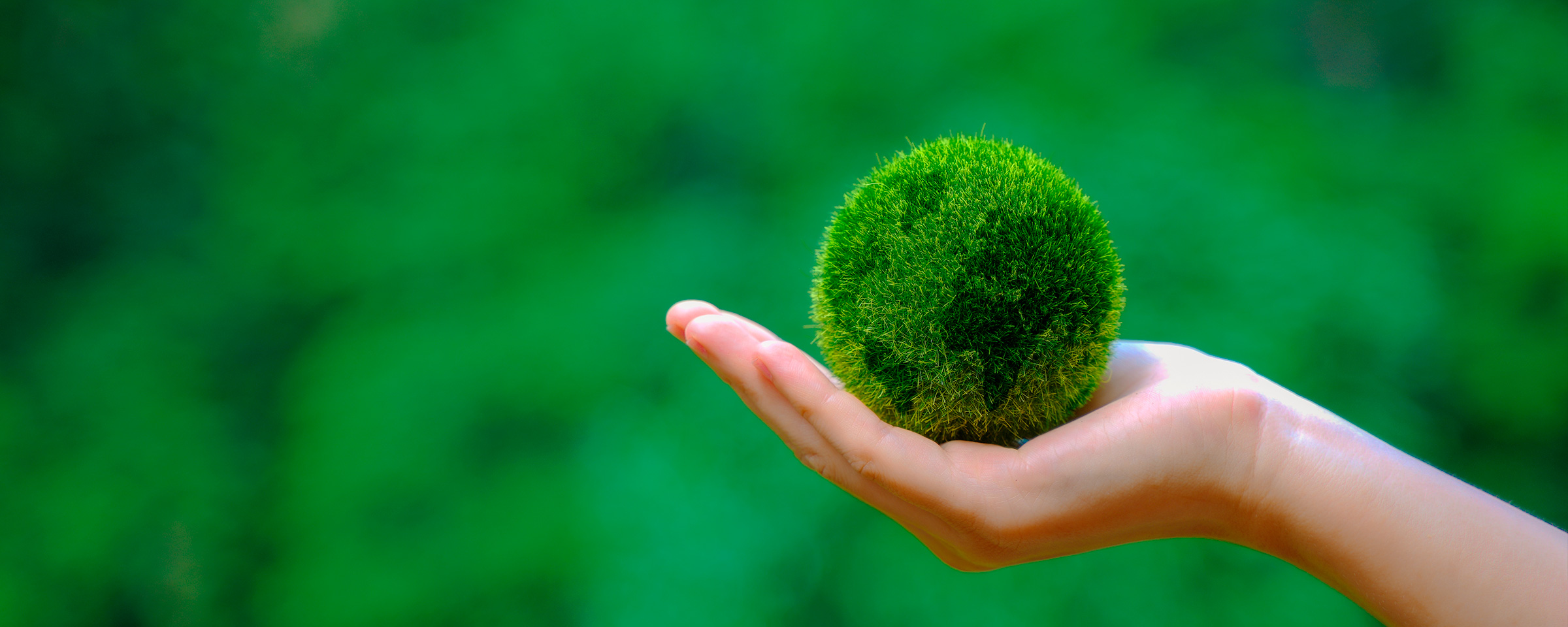 EAIE-LMS_CourseBanner_Social-responsibility2.jpg