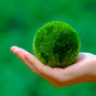 EAIE-LMS_CourseBanner_Social-responsibility2.jpg