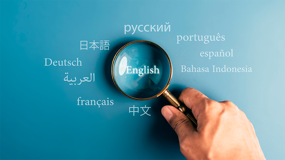 ResearchSnapshot_Blog_Image only_English taught pgms.jpg