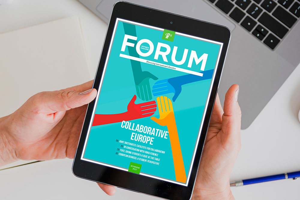 The employability dimension in joint programmes
